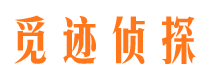 泸定市婚姻调查